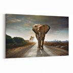 Olla 12648Y Hayvanlar Alemi Görseli Yatay Kanvas Tablo (Ölçü: 70X50)