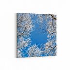 Olla 10503K Ağaç Görseli Kare Kanvas Tablo (Ölçü: 30X30)