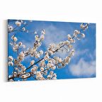 Olla 10700Y Ağaç Görseli Yatay Kanvas Tablo (Ölçü: 30X20)