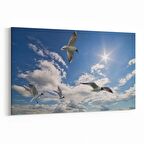 Olla 15843Y Gökyüzü Kuşlar Görseli Yatay Kanvas Tablo (Ölçü: 70X50)
