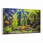 Olla 12100Y Akvaryum / Balık Görseli Yatay Kanvas Tablo (Ölçü: 120X80)