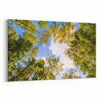 Olla 10736Y Ağaç Görseli Yatay Kanvas Tablo (Ölçü: 150X100)