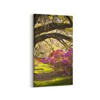 Olla 14629DD Doğa / Manzara Görseli Dikey Dar Kanvas Tablo (Ölçü: 30X60)