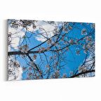 Olla 10764Y Ağaç Görseli Yatay Kanvas Tablo (Ölçü: 30X20)