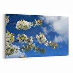 Olla 10995Y Ağaç Görseli Yatay Kanvas Tablo (Ölçü: 120X80)