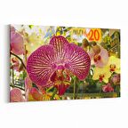 Olla 11613Y Çiçek Görseli Yatay Kanvas Tablo (Ölçü: 150X100)