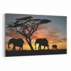 Olla 12580Y Hayvanlar Alemi Görseli Yatay Kanvas Tablo (Ölçü: 150X100)