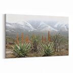 Olla 14220Y Doğa / Manzara Görseli Yatay Kanvas Tablo (Ölçü: 30X20)