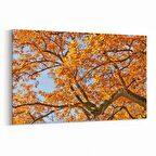 Olla 10501Y Ağaç Görseli Yatay Kanvas Tablo (Ölçü: 150X100)