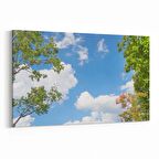 Olla 10772Y Ağaç Görseli Yatay Kanvas Tablo (Ölçü: 90X60)