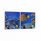 Olla 12152K2Y Akvaryum / Balık Görseli Kare 2'li Yatay Kanvas Tablo (Ölçü: 145X70)