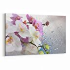 Olla 11662Y Orkide Çiçek Görseli Yatay Kanvas Tablo (Ölçü: 150X100)