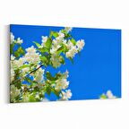 Olla 10920Y Ağaç Görseli Yatay Kanvas Tablo (Ölçü: 120X80)