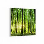 Olla 13250K Doğa / Manzara Görseli Kare Kanvas Tablo (Ölçü: 25X25)