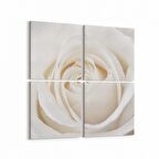 Olla 11641K4 Çiçek Görseli Kare 4'lü Kanvas Tablo (Ölçü: 105X105)