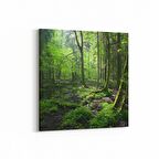 Olla 14517K Doğa / Manzara Görseli Kare Kanvas Tablo (Ölçü: 25X25)