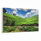 Olla 14545Y Doğa / Manzara Görseli Yatay Kanvas Tablo (Ölçü: 45X30)