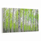 Olla 14526Y Doğa / Manzara Görseli Yatay Kanvas Tablo (Ölçü: 150X100)