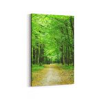 Olla 13373D Doğa / Manzara Görseli Dikey Kanvas Tablo (Ölçü: 60X90)