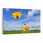 Olla 14392Y Doğa / Manzara Görseli Yatay Kanvas Tablo (Ölçü: 30X20)