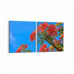 Olla 10882K2Y Ağaç Görseli Kare 2'li Yatay Kanvas Tablo (Ölçü: 145X70)