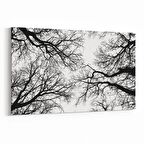 Olla 10555Y Ağaç Görseli Yatay Kanvas Tablo (Ölçü: 45X30)