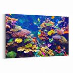 Olla 12121Y Akvaryum / Balık Görseli Yatay Kanvas Tablo (Ölçü: 45X30)