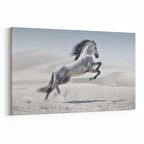 Olla 12548Y Hayvanlar Alemi Görseli Yatay Kanvas Tablo (Ölçü: 70X50)