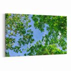 Olla 10972Y Ağaç Görseli Yatay Kanvas Tablo (Ölçü: 120X80)