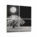 Olla 14475K4 Doğa / Manzara Görseli Kare 4'lü Kanvas Tablo (Ölçü: 125X125)