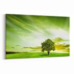Olla 14608Y Doğa / Manzara Görseli Yatay Kanvas Tablo (Ölçü: 30X20)
