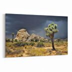 Olla 14571Y Doğa / Manzara Görseli Yatay Kanvas Tablo (Ölçü: 70X50)