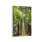 Olla 13669D Doğa / Manzara Görseli Dikey Kanvas Tablo (Ölçü: 60X90)