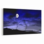 Olla 14789Y Gece Gökyüzü Görseli Yatay Kanvas Tablo (Ölçü: 120X80)