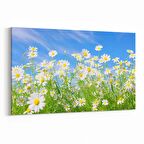 Olla 14320Y Doğa / Manzara Görseli Yatay Kanvas Tablo (Ölçü: 90X60)