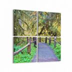 Olla 13305K4 Doğa / Manzara Görseli Kare 4'lü Kanvas Tablo (Ölçü: 105X105)