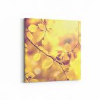 Olla 10694K Ağaç Görseli Kare Kanvas Tablo (Ölçü: 25X25)