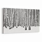 Olla 13317Y Doğa / Manzara Görseli Yatay Kanvas Tablo (Ölçü: 120X80)