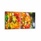 Olla 10479K2Y Ağaç Görseli Kare 2'li Yatay Kanvas Tablo (Ölçü: 145X70)