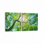 Olla 11055K2Y Ağaç Görseli Kare 2'li Yatay Kanvas Tablo (Ölçü: 65X30)