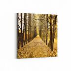 Olla 14021K Doğa / Manzara Görseli Kare Kanvas Tablo (Ölçü: 100X100)