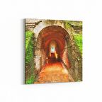 Olla 13584K Doğa / Manzara Görseli Kare Kanvas Tablo (Ölçü: 25X25)