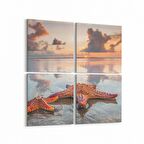 Olla 12970K4 Deniz / Okyanus Görseli Kare 4'lü Kanvas Tablo (Ölçü: 65X65)