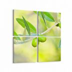 Olla 15115K4 Gıda Görseli Kare 4'lü Kanvas Tablo (Ölçü: 145X145)