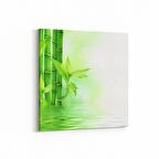 Olla 17080K Spa / Masaj Görseli Kare Kanvas Tablo (Ölçü: 25X25)