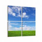 Olla 14465K4 Doğa / Manzara Görseli Kare 4'lü Kanvas Tablo (Ölçü: 105X105)