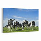 Olla 12663Y Hayvanlar Alemi Görseli Yatay Kanvas Tablo (Ölçü: 30X20)