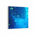 Olla 12891K Deniz / Okyanus Görseli Kare Kanvas Tablo (Ölçü: 100X100)