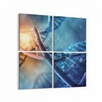 Olla 10350K4 Abstract Görsel Kare 4'lü Kanvas Tablo (Ölçü: 65X65)