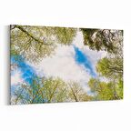 Olla 10868Y Ağaç Görseli Yatay Kanvas Tablo (Ölçü: 90X60)